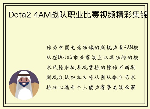 Dota2 4AM战队职业比赛视频精彩集锦